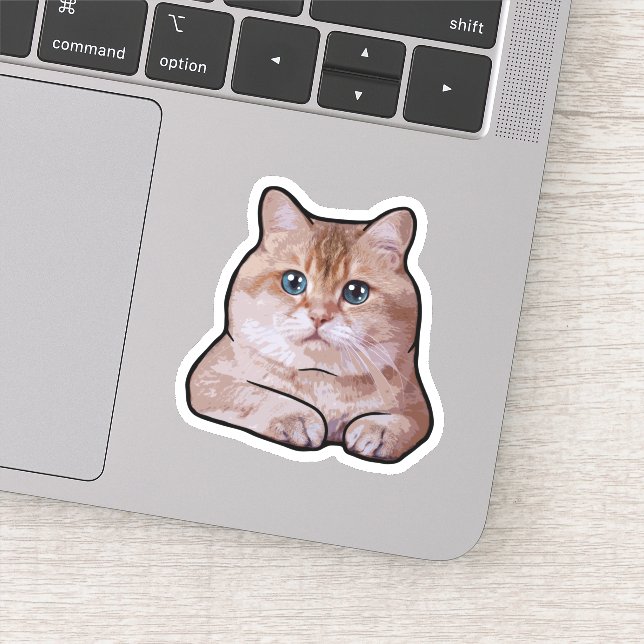 Hosico Cat Klistermärken (Detalj)