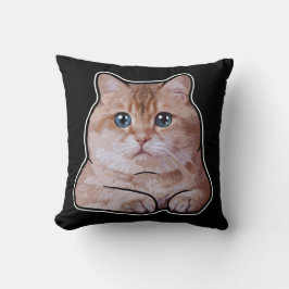 Hosico Cat Kudde