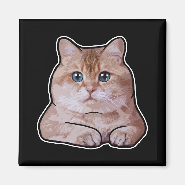 Hosico Cat Magnet (Framsidan)