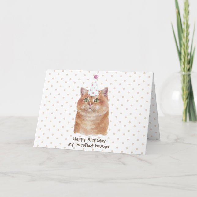 Hosico Cat med Party Hat Kort (Framsida)