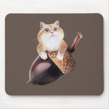 Hosico Epifania