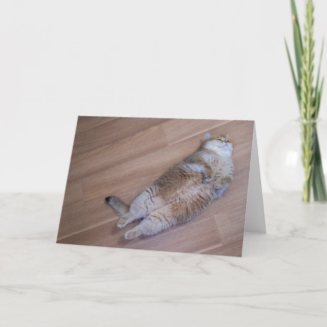 Hosico flies kort (Framsida)