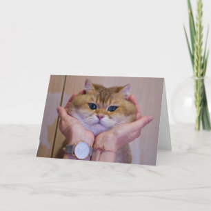 Hosico i handflatan kort