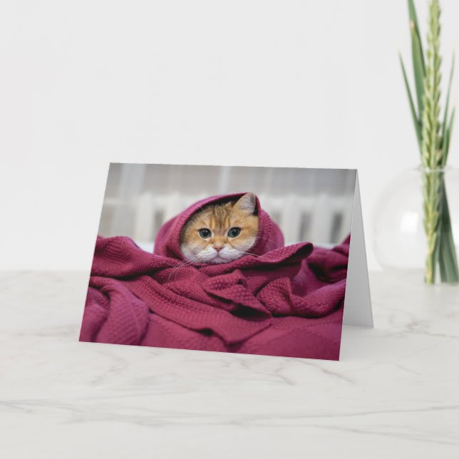 Hosico inlindad kort (Framsida)