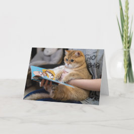 Hosico läser bok kort