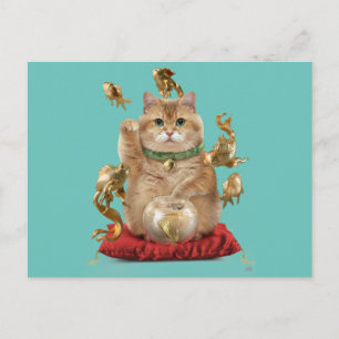 Hosico Maneki-neko Vykort