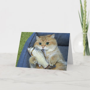 Hosico och fisken kort