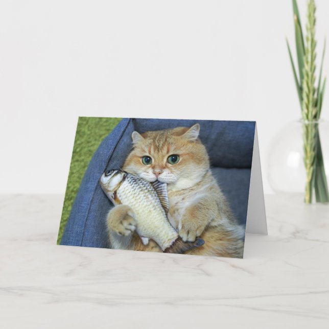 Hosico och fisken kort (Framsida)