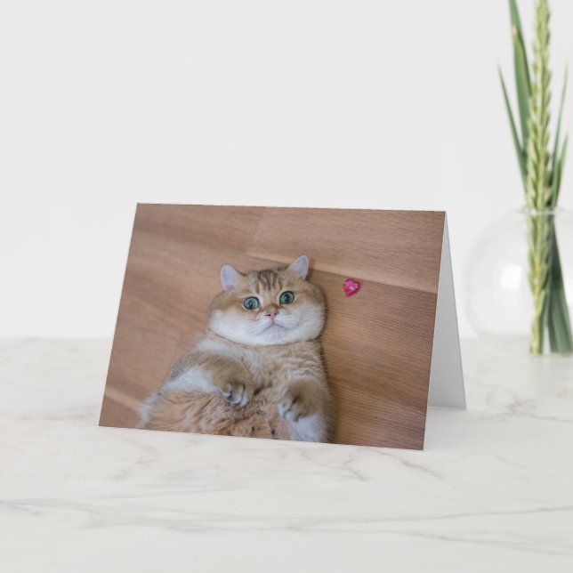 Hosico och hjärta kort (Framsida)