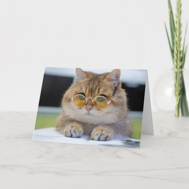 Hosico Professor Kort (Framsida)
