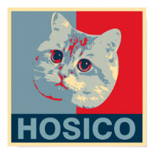 Hosico - Red Blue Illustration