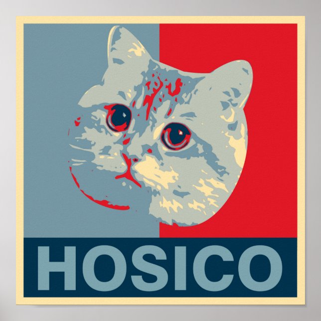 Hosico - Red Blue Illustration Poster (Framsidan)