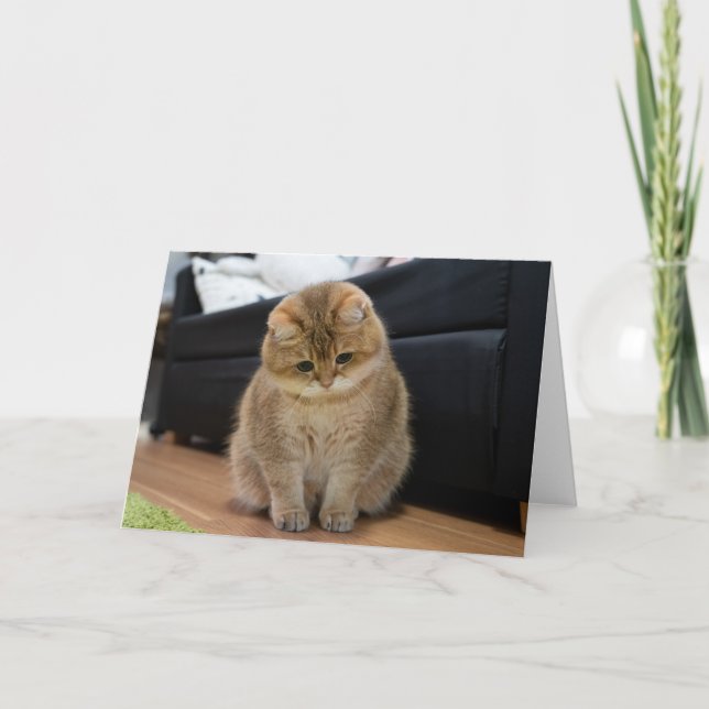 Hosico söt baby kort (Framsida)
