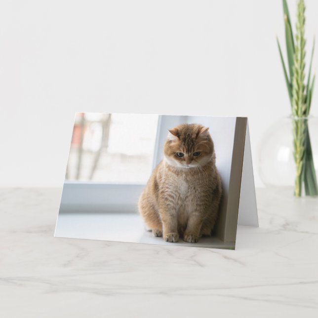 Hosico-tanke Kort (Framsida)