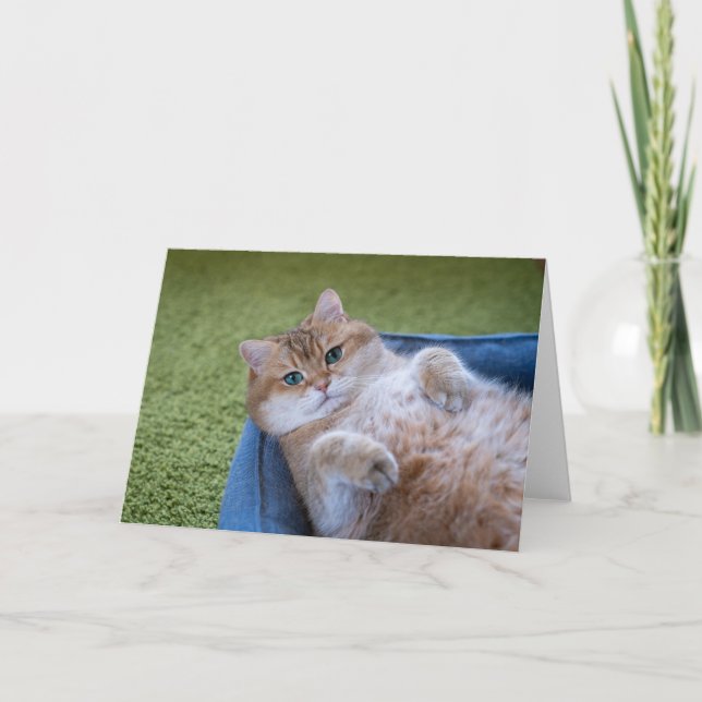 Hosico tittar på dig kort (Framsida)