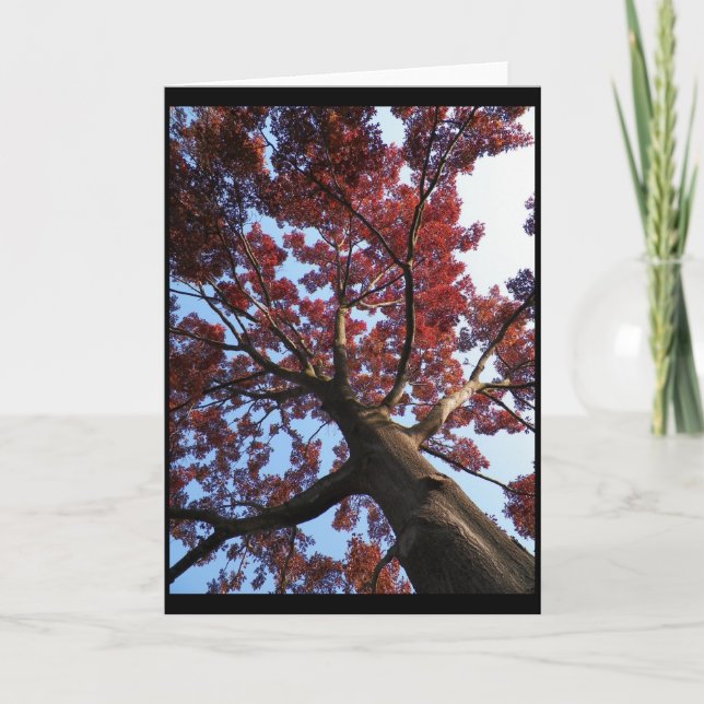 Höst~ 18 kort (Framsida)