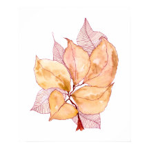 Höst Akvarellblad Botanisk Illustration