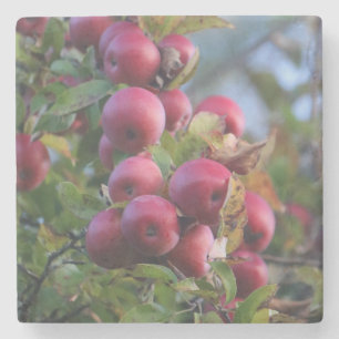 Höst Apple Stenunderlägg