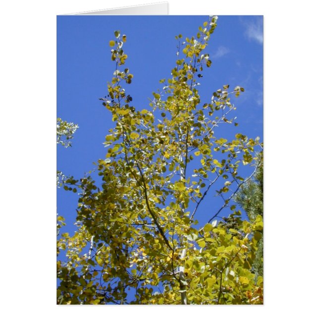 Höst Aspen Löv II-kort Hälsningskort (Framsidan)
