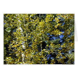 Höst Aspen Löv-kort Hälsningskort