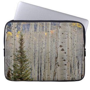 Höst Aspenlundar Klippiga bergen, Colorado Laptop Fodral