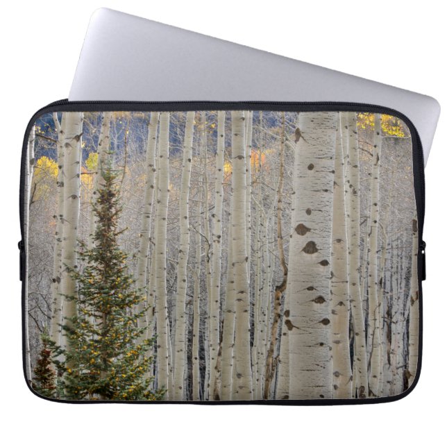 Höst Aspenlundar | Klippiga bergen, Colorado Laptop Fodral (Framsidan)