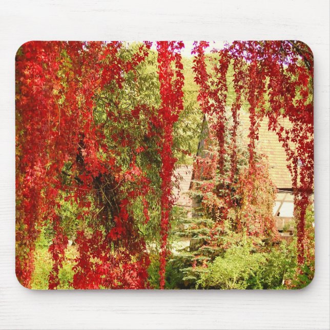Höst / Autumn Musmatta (Framsidan)