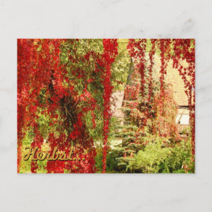 Höst / Autumn Vykort