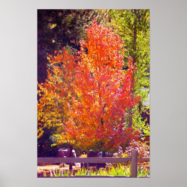 HÖST FÄRGER 2 POSTER (Framsidan)