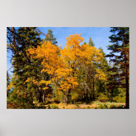 HÖST FÄRGER 5 POSTER