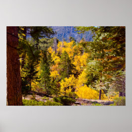 HÖST FÄRGER 6 POSTER