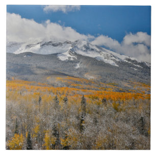 HÖST FÄRGER ASPEN &   Rocky mountains, Colorado Kakelplatta
