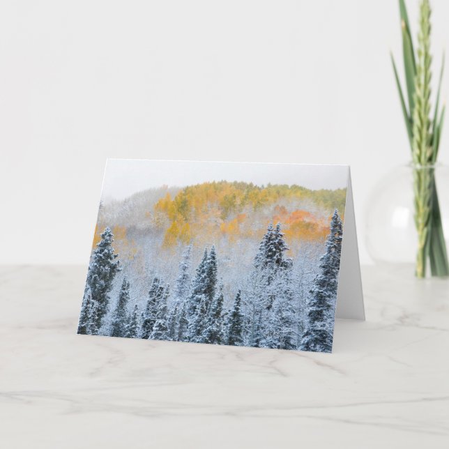 Höst färger för Aspen & färsk Snö Keebler Pass Kort (Framsida)