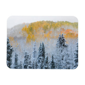 Höst färger för Aspen & färsk Snö Keebler Pass Magnet