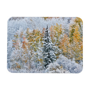 Höst färger för Aspen & Snö Keebler Pass Magnet
