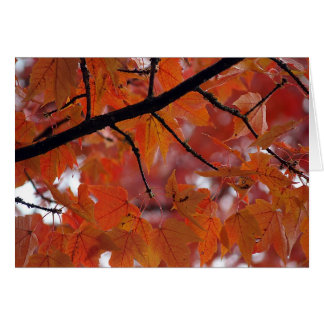 HÖST FÄRGER HÄLSNINGSKORT