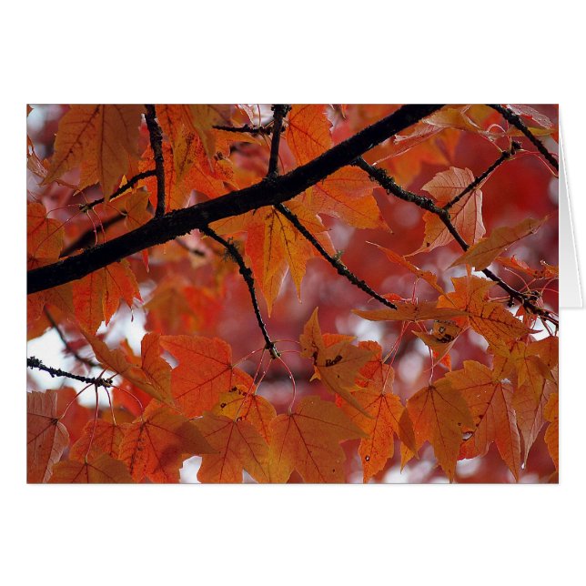 HÖST FÄRGER HÄLSNINGSKORT (Framsidan Horizontal)