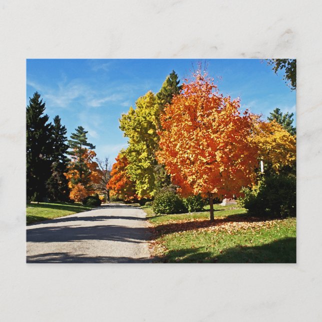 Höst färger i Cincinnati Vykort (Framsida)