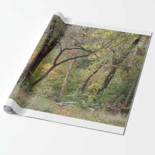 Höst färger i en skog presentpapper
