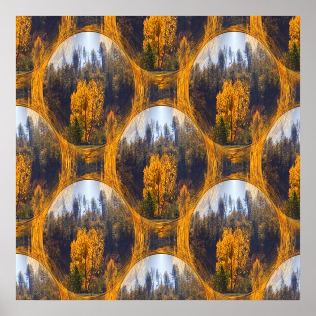 Höst färger i Hayfork.. Poster (Framsidan)