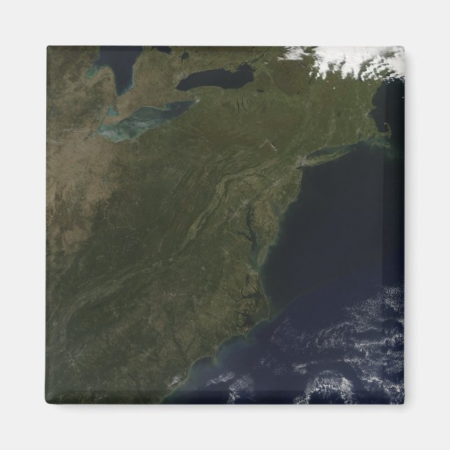 Höst färger i nordöstra Stater Magnet (Framsidan)