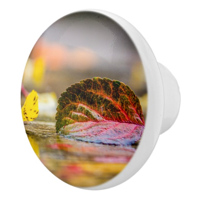 Höst färger knopp (Höger)