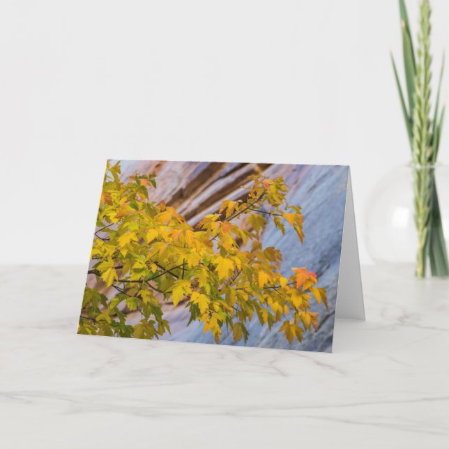 Höst färger kort (Framsida)