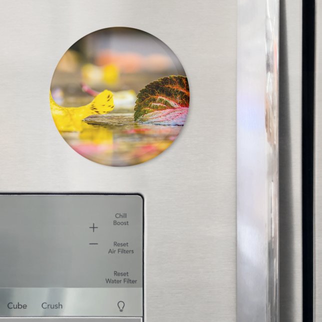 Höst färger magnet (In Situ (Fridge))