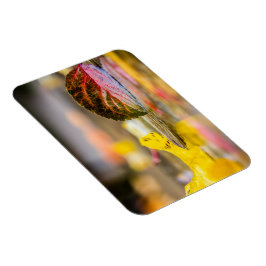 Höst färger magnet
