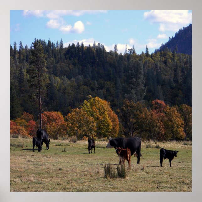 Höst färger med besättningen... poster (Framsidan)