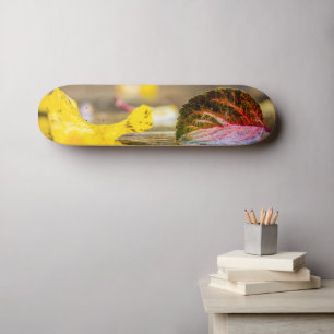 Höst färger mini skateboard bräda 18,5 cm