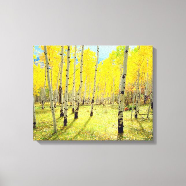 Höst färger om Aspen träd 4 Canvastryck (Framsida)