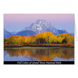 Höst färger om nationalparken Grand Teton Hälsningskort