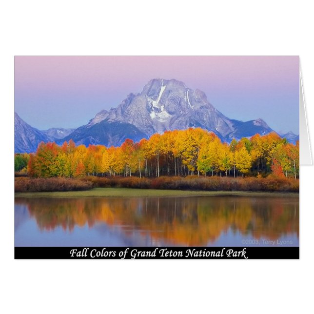 Höst färger om nationalparken Grand Teton Hälsningskort (Framsidan Horizontal)